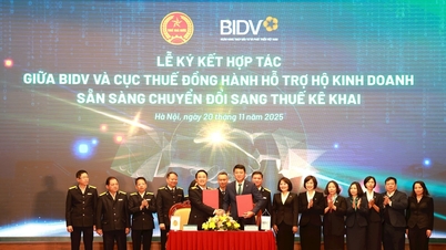 BIDV och skattebranschen samarbetar för att stödja företagshushåll i att övergå till skattedeklaration.