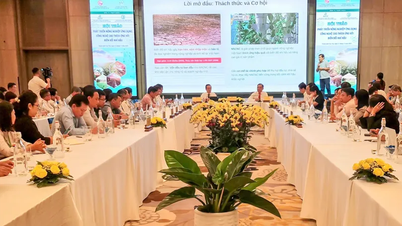 Rozwój rolnictwa high-tech w celu dostosowania się do zmian klimatycznych