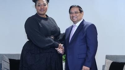 Prime Minister connects cooperation between two national oil and gas corporations of Vietnam and South Africa