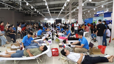 地方赤十字が地域のために協力