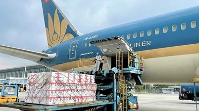 Vietnam Airlines transports free goods to support people in flood-hit areas of Central Vietnam