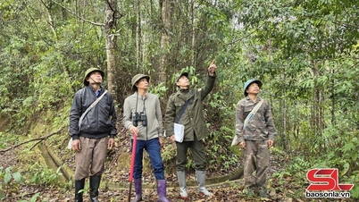 Bouw van het Muong La - Ta Xua biosfeerreservaat