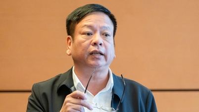 인공지능 기초 내용을 일반 교육 과정에 도입하는 법안에 대해 의원은 "신중한 검토가 필요하다"고 밝혔습니다.