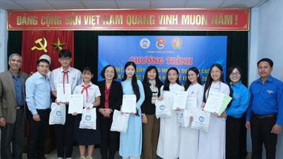 В Дананге представлены две выдающиеся инициативы, участвующие в Конкурсе детских инициатив 2025 года.