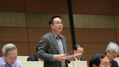 อย่าลงทุนโดยใช้เทคโนโลยีที่ไม่ได้รับการคุ้มครอง