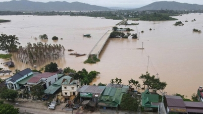 Politburo dan Sekretariat Jawatankuasa Pusat telah menubuhkan lima kumpulan kerja untuk memeriksa dan mengarah usaha bagi mengurangkan akibat banjir.