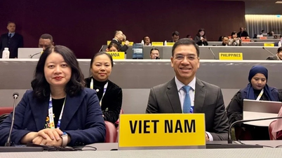 COP11 об'єднує глобальні зобов'язання щодо боротьби з «новою хвилею тютюнової залежності»