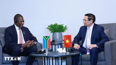 Прем'єр-міністр Фам Мінь Чінь зустрівся з віце-президентом Південної Африки Полом Машатіле