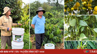 DS Fish Protein – Reisen til å bli et fiskeproteinmerke som mange mennesker over hele landet stoler på