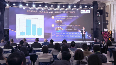 Зв'язок для сприяння притоку іноземних інвестицій у сектор охорони здоров'я В'єтнаму