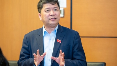 Delegados da Assembleia Nacional propõem a inclusão de princípios para proteger a identidade cultural nacional no uso de IA.