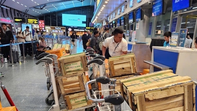 Free change or reservation of flight tickets due to bad weather in Cam Ranh, Tuy Hoa, Phu Cat