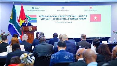 ファム・ミン・チン首相がベトナム・南アフリカビジネスフォーラムに出席