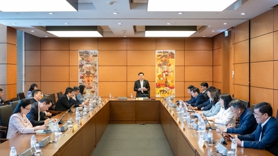 Ensuring safety and transparency in the application of artificial intelligence.