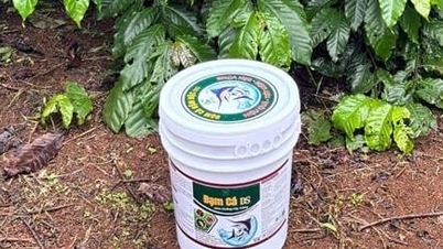 Яркие моменты в устойчивом органическом сельском хозяйстве