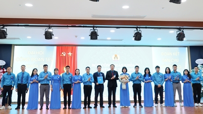 الرعاية العملية لحياة العاملين في المؤسسة