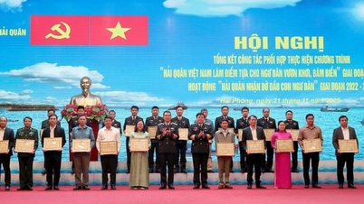 Marinen roste 77 individer og grupper.