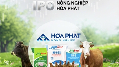 Hoa Phat Agriculture (HPA): IPO 30 milionů akcií, cena 41 900 VND/akcii