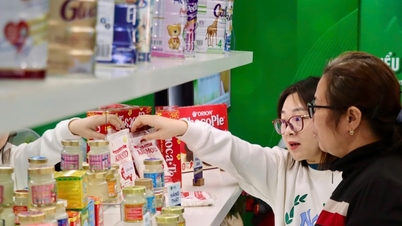 500 منتج معروض تساعد الناس على التمييز بين المنتجات الأصلية والمزيفة.