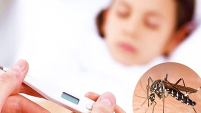 Jaarlijks worden er in het land ongeveer 100.000 gevallen van dengue geregistreerd.