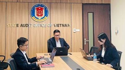 Dele erfaringer med revisjon av statseide foretak