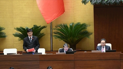 破産法案（改正）：強力な改革、回収プロセスの効率性向上