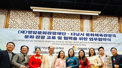 Департамент культуры, спорта и туризма Дананга укрепляет культурное сотрудничество с Фондом культуры и туризма Ёнам, Корея