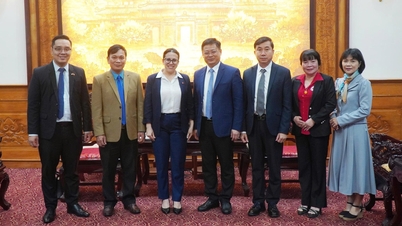 סגן יו"ר הוועדה העממית של העיר, נגוין טאן בין, קיבל את פני הקונסול הכללי של הרפובליקה של קובה בהו צ'י מין סיטי.