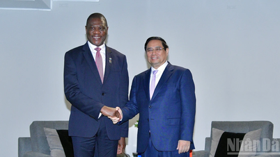 Vietnam vil bidra sitt ytterste til at G20-toppmøtet i Sør-Afrika blir en suksess.