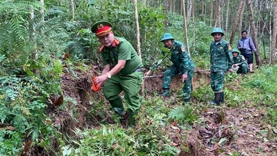 Aparecieron 3 grietas y hundimientos en la montaña en la zona fronteriza de Da Nang, 22 personas fueron evacuadas urgentemente.