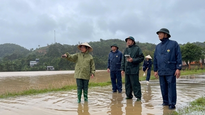 Zástupce tajemníka provinčního výboru strany Huynh Thi Chien Hoa řídil prevenci povodní a bouří v obci Dray Bhang.
