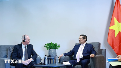 Prim-ministrul Pham Minh Chinh colaborează cu organizații și companii sud-africane