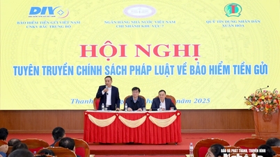 Propaganda politicilor legale privind asigurarea depozitelor