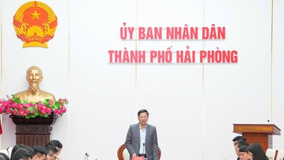 האי פונג דורשת הגדרה ברורה של המועד האחרון ומפת הדרכים לפתרון עתירות בוחרים שטרם נפתרו.