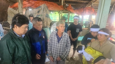 Secretarul provincial al partidului, Luong Nguyen Minh Triet, a vizitat și a transmis condoleanțe familiilor victimelor inundațiilor.