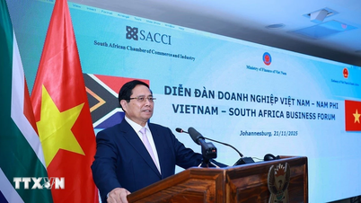 Companiile vietnameze și sud-africane își extind conexiunile, vizând noi proiecte de cooperare