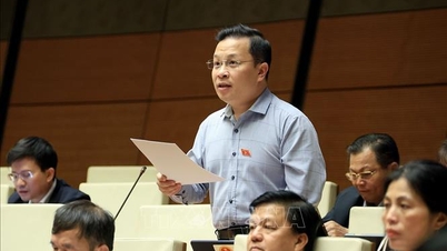 10η Σύνοδος, 15η Εθνοσυνέλευση: Διαμόρφωση ενός διαφανούς στατιστικού συστήματος