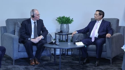 Vietnam může pomoci zajistit potravinovou bezpečnost pro Jihoafrickou republiku.