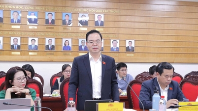 Comitetul permanent pentru Știință, Tehnologie și Mediu colaborează cu Ministerul Construcțiilor