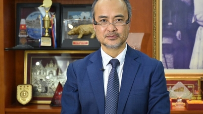 Продвижение силы вьетнамцев, проживающих за рубежом, в новую эпоху