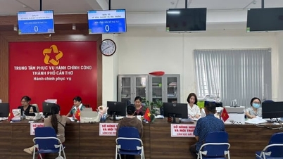 Can Tho mempercepatkan pembaharuan prosedur, transformasi digital pertanian dan alam sekitar