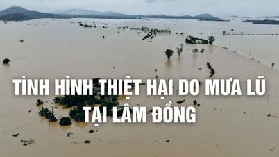 Flom i Lam Dong forårsaker skader for mer enn 1000 milliarder VND