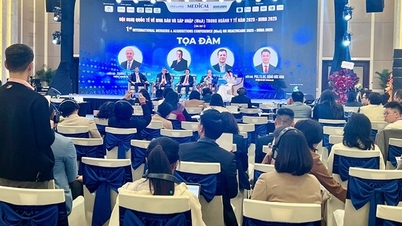 فرصت‌هایی برای توسعه پایدار و مؤثر بخش مراقبت‌های بهداشتی ویتنام