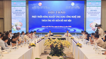 TPHCM - ĐBSCL - Nam Trung bộ liên kết phát triển nông nghiệp ứng dụng công nghệ cao