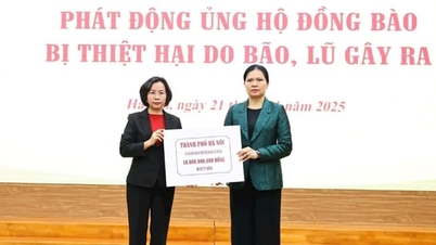 Hanoj ​​podporuje obyvatele Centrální vysočiny a centrálních regionů v překonávání následků povodní