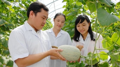 Toepassing van hoge technologie - de sleutel tot groene ontwikkeling