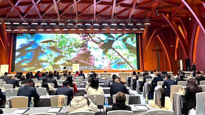 គណៈប្រតិភូខេត្ត Lai Chau ចូលរួមពិធីបុណ្យទន្លេក្រហម - វៀតណាម - ចិន សប្តាហ៍សហប្រតិបត្តិការអាងទន្លេក្រហម និងកិច្ចសន្ទនាកិច្ចសហប្រតិបត្តិការរវាងតំបន់នានាក្នុងប្រទេសវៀតណាម - អាងទន្លេក្រហមចិនឆ្នាំ ២០២៥។