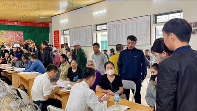 Az alapadó 8 az üzleti háztartásokat kíséri az átalányadó eltörlésének folyamatában