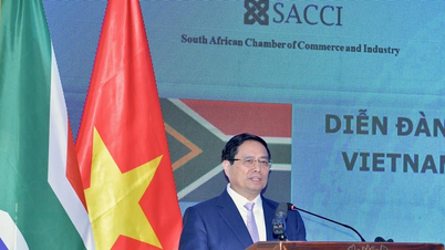 جنوبی افریقہ میں زرعی اور صنعتی پیداوار میں سرمایہ کاری کرنے کے لیے ویتنامی اداروں کی حوصلہ افزائی کرنا