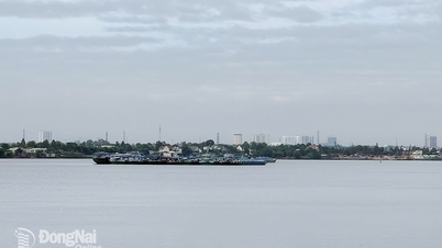 Flood risk warning on Dong Nai River reaches level 2